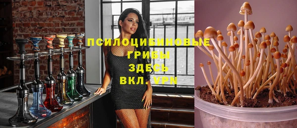 Альфа ПВП Армянск