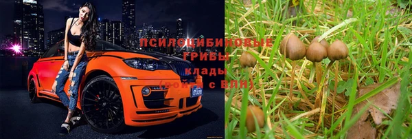 Альфа ПВП Армянск