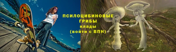 Альфа ПВП Армянск