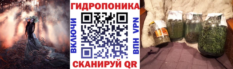 где купить   Покачи  блэк спрут маркетплейс  Марихуана индика 
